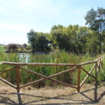 Parque de Merendas do Lago do Sume, na Antes, vai ser requalificado