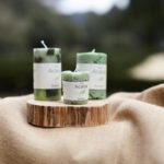 Árvores derrubadas no Bussaco dão lugar a uma linha de “Perfumes da Mata”