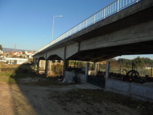 DSC01893