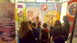 19260400_691589361048673_7589973279578269081_n