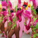 Mangueira é vice campeã “Nacional de Samba”