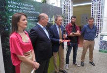 200 imagens do Bussaco “avaliadas” por fotojornalista do “The New York Times”