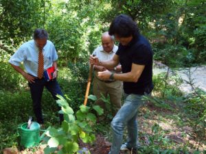 OLYMPUS DIGITAL CAMERA