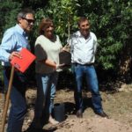 Vídeo: Maya planta árvore no Bussaco