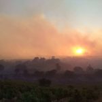 Incêndio ativo em Barcouço. A1 reaberta. Junta de Freguesia “apela” por ajuda alimentar