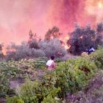 Afetados pelos incêndios de Barcouço podem candidatar-se a “Fundo Extraordinário”