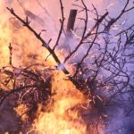 205 bombeiros fazem frente às chamas em Barcouço. A1 continua cortada.