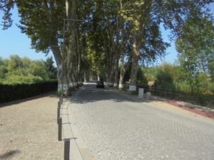 DSC04041