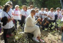 Carla Andrino surpreendida em plena Mata do Bussaco