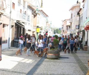 17390459_1724594304498274_2572594170933911963_o