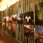 49 mil visitantes viram, no Luso, exposição sobre o Bussaco, que agora vai para Aveiro