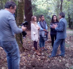 22810392_1905514952799191_1114370009_o