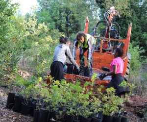 23131104_10207928091638810_450870939_o