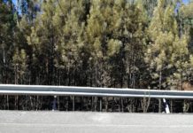 Incêndio na estrada que liga a Pampilhosa ao Travasso