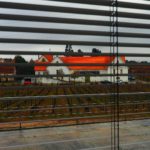 Espumante da Bairrada “analisa” mercados internacionais