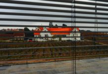 Espumante da Bairrada “analisa” mercados internacionais