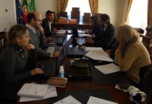Câmara da Mealhada aprova verba para atividades nas escolas e jardins de infância