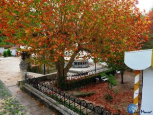 Fonte São João no Luso