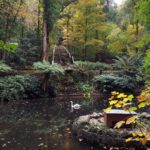 Água de Luso apresenta, em plena Serra do Bussaco, estratégia para 2018