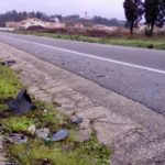 Colisão faz ferido grave no I.C.2 em Anadia