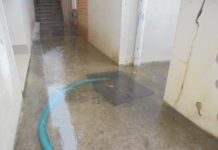 Anadia e Mealhada com inundações e cortes de árvores