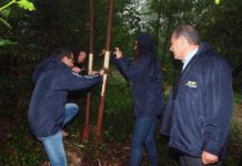Transportes Pascoal já plantou a primeira de um milhar de árvores adquiridas no Bussaco