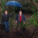 Cirurgião plástico Biscaia Fraga planta árvore no Bussaco