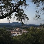Câmara de Anadia está no terreno a sensibilizar munícipes para limpeza da floresta