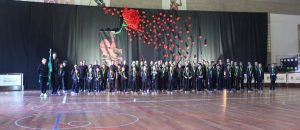 Patinagem artistica - equipa do ano