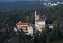 Espécies arbóreas do Bussaco prestes a serem “Arvoredo de Interesse Público”