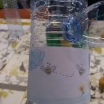 Apicultor idealiza armadilha, que é posta em prática por 850 crianças da Mealhada