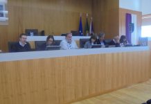 Estão aprovados, em Anadia, os primeiros apoios ao empreendedorismo