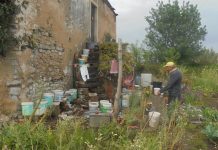 Homem retirado de prédio em ruínas, na Mealhada, onde vivia há 11 anos