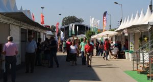 1 - IMG_8923