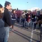 Devolução à natureza de “andorinhas dos beirais” aconteceu na Mealhada