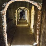 “Bairrada de Portas Abertas ao Sábado” de 14 de julho a 31 de agosto