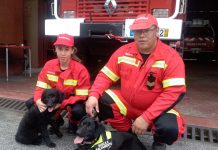 Bombeiros da Mealhada “apresentam” equipa cinotécnica