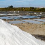SAL DE AVEIRO lança workshop direcionado a potenciais empreendedores