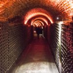 Caves e adegas abertas ao sábado atraíram turistas à região da Bairrada