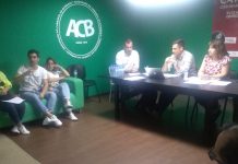 Contas do Carnaval da Bairrada têm resultado negativo de 24 mil euros