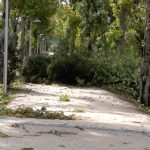 Devastador, o dia seguinte à tempestade Leslie