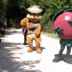 Catrapim leva Mealhada a vencer na categoria Centro dos Prémios Municípios do Ano