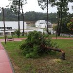 Ecoparque de Anadia alvo de vandalismo