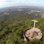 Colaboradores da Água de Luso plantam cinco mil árvores no Bussaco