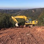 Município de Anadia promove campanha de sensibilização para limpeza da floresta