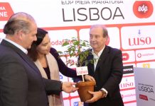 Cada inscrição na Meia Maratona de Lisboa “vale” a plantação de uma árvore no Bussaco