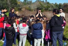 Crianças do Centro Escolar da Pampilhosa plantaram sobreiros na Villa Maria