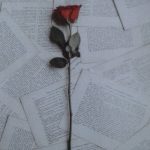 Lusense Céu Felício apresenta livro de poesia “Para ti e para o mundo”