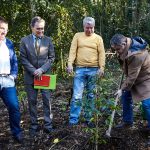 Fernando Mendes festeja aniversário com plantação de árvore no Bussaco