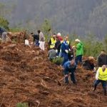 “Uma árvore pelo Bussaco” convida população para reflorestação